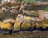 APhoto_0001133