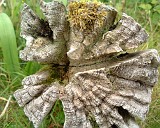 APhoto_0001134