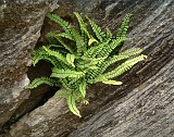 APhoto_0001164