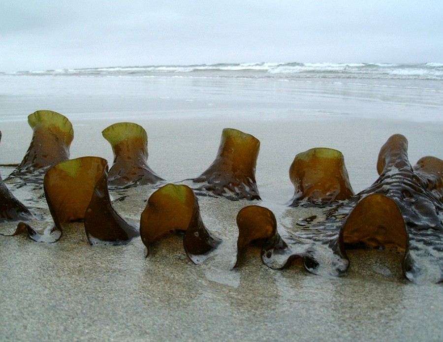 APhoto_0002888