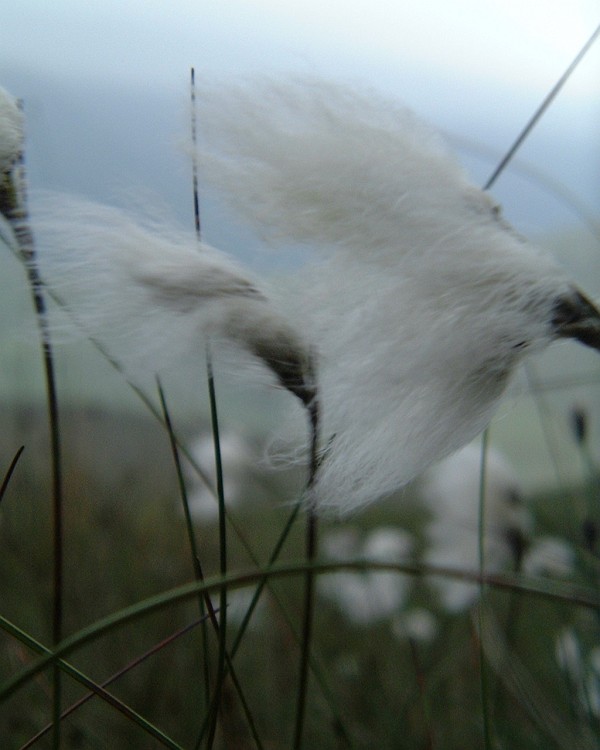 APhoto_0003103