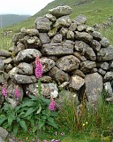 APhoto_0002958