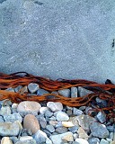 APhoto_0003030