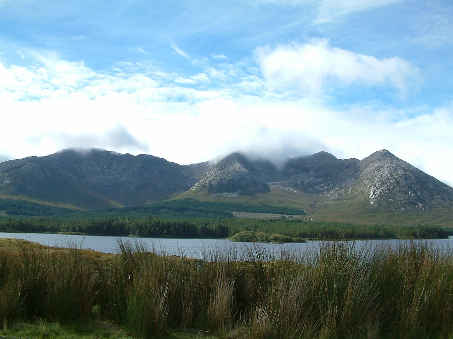 Photo_0018008