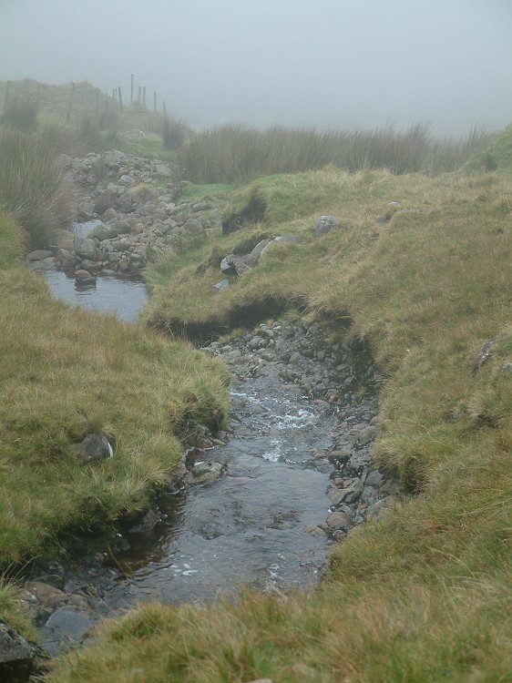 Photo_0018026
