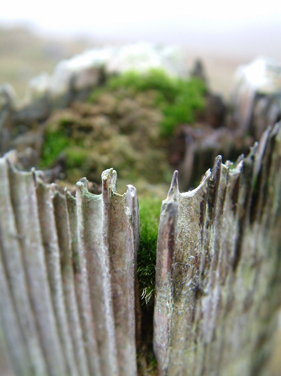 Photo_0018043
