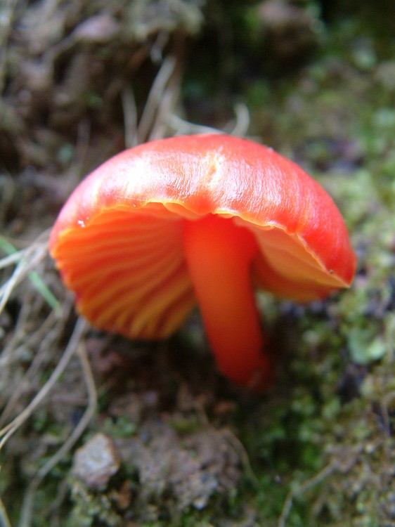 Photo_0018047