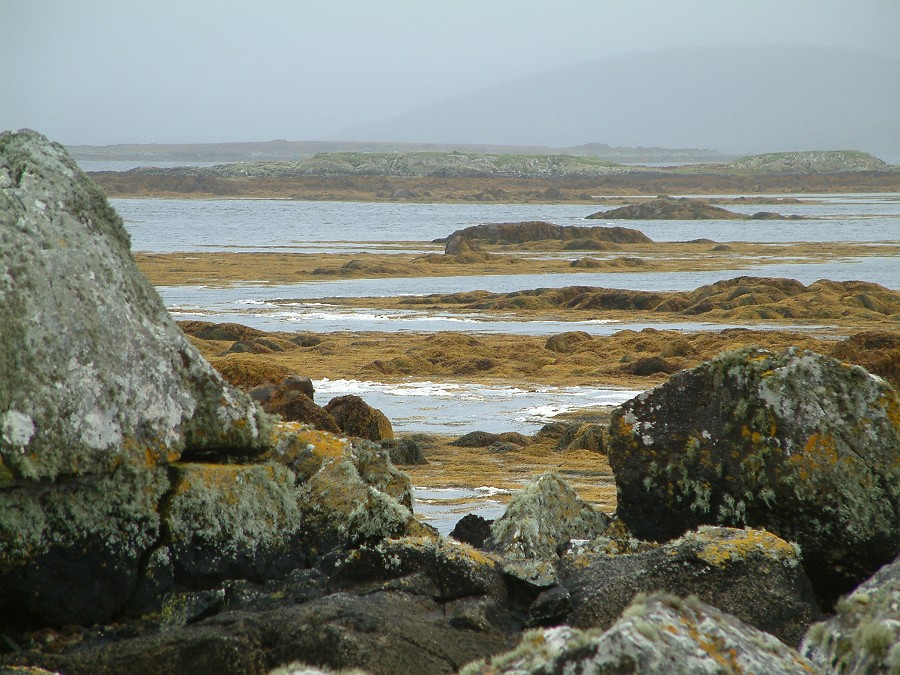 Photo_0018064