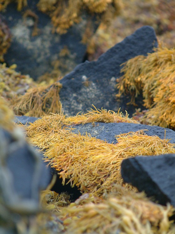 Photo_0018084