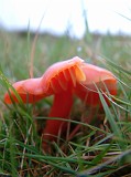 Photo_0018015