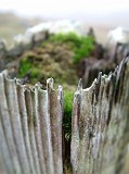 Photo_0018043