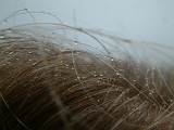 Photo_0018045