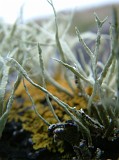 Photo_0018069