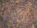 Photo_0018078