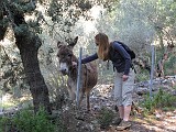 Photo_0076993_Canon_G10