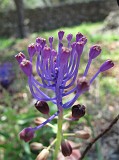 Photo_0077009_Canon_G10
