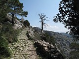 Photo_0077145_Canon_G10