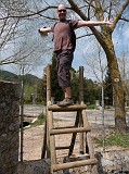 Photo_0077172_Panasonic_Lumix_TZ5