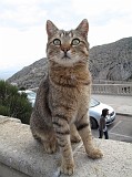 Photo_0077282_Canon_G10