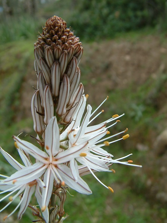 Photo_0014757