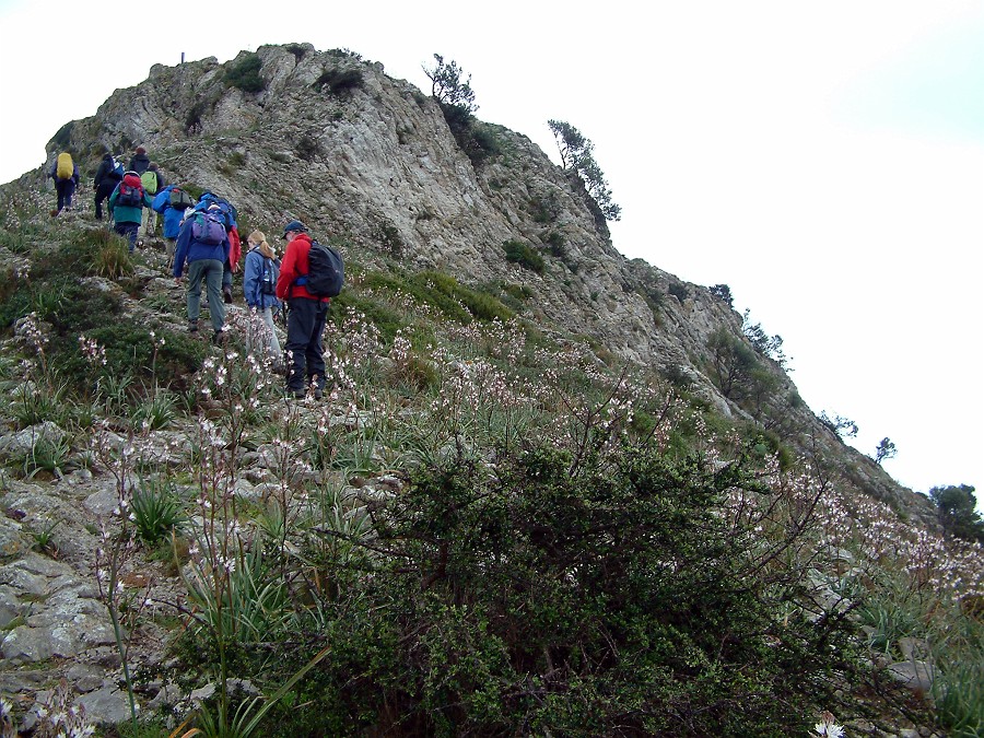 Photo_0014833