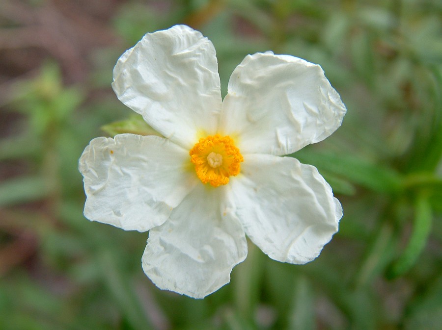 Photo_0014856