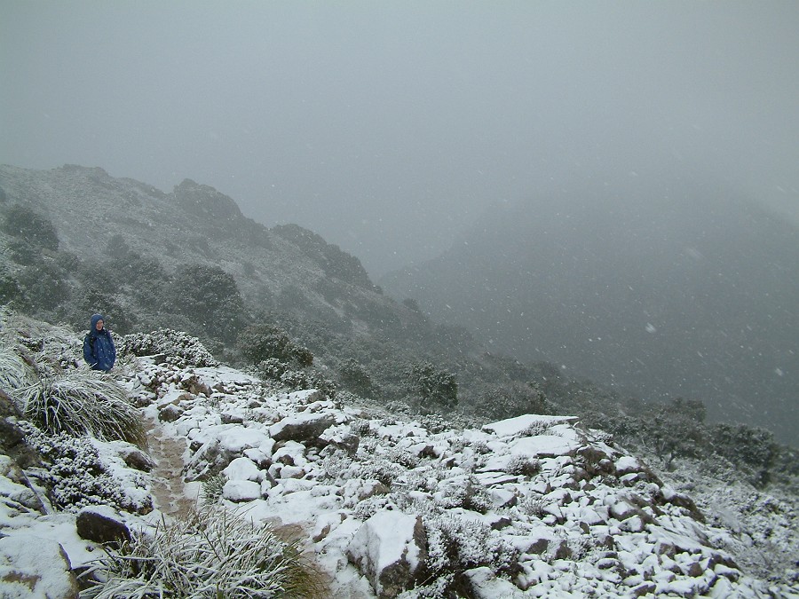 Photo_0014940