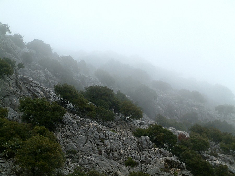 Photo_0014941