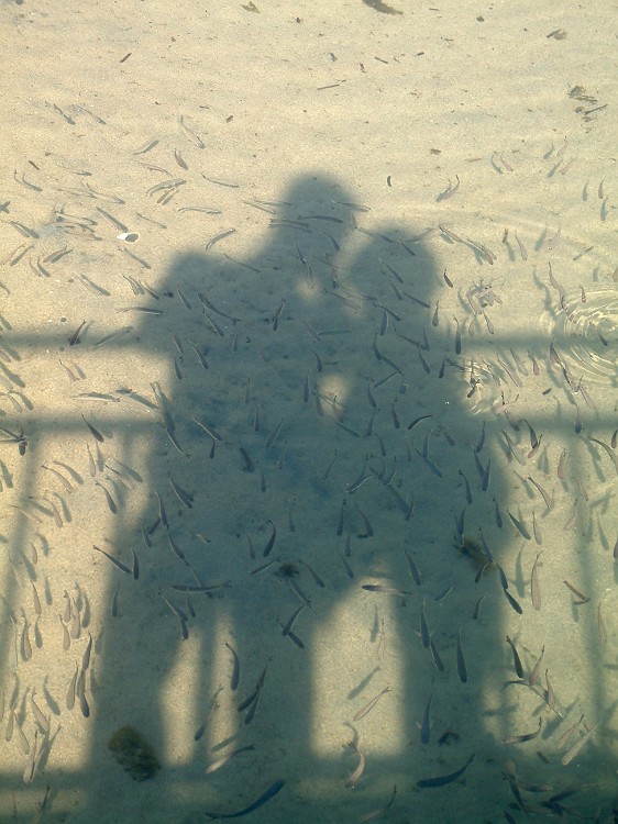 Photo_0014976