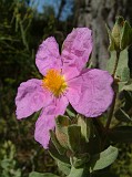 Photo_0014742