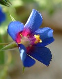 Photo_0014743