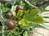 Photo_0014751