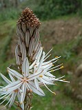 Photo_0014757