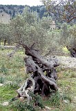 Photo_0014761
