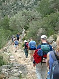 Photo_0014782