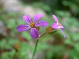 Photo_0014786