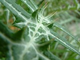 Photo_0014790