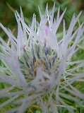 Photo_0014801