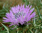 Photo_0014810