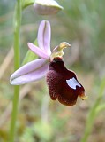 Photo_0014851