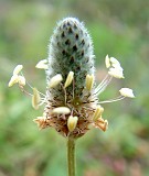 Photo_0014863