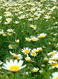 Photo_0014865
