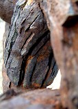 Photo_0014878