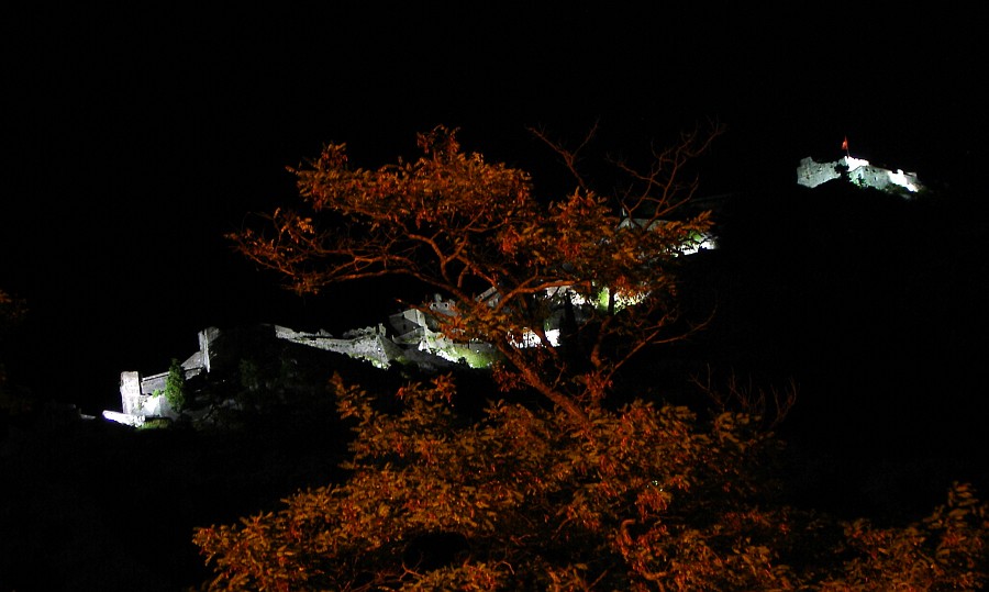 Photo_0025109_Sony_dsc-w1