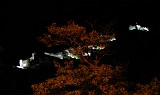 Photo_0025109_Sony_dsc-w1