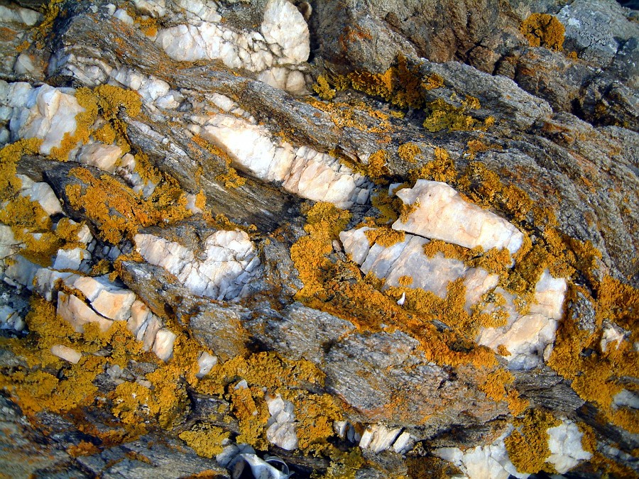 Photo_0002718
