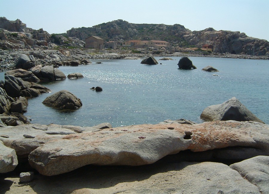 Photo_0002799