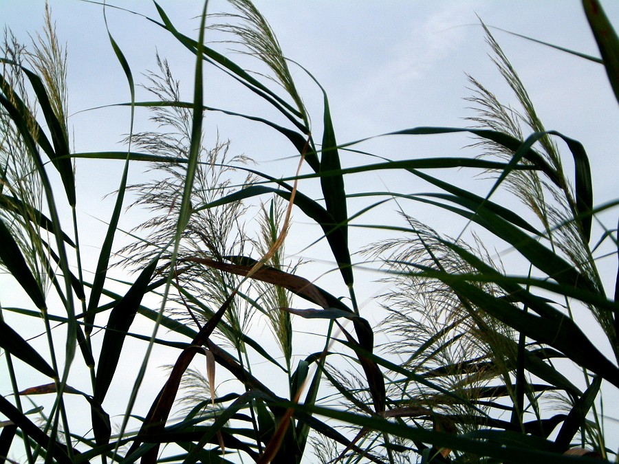 Photo_0002841