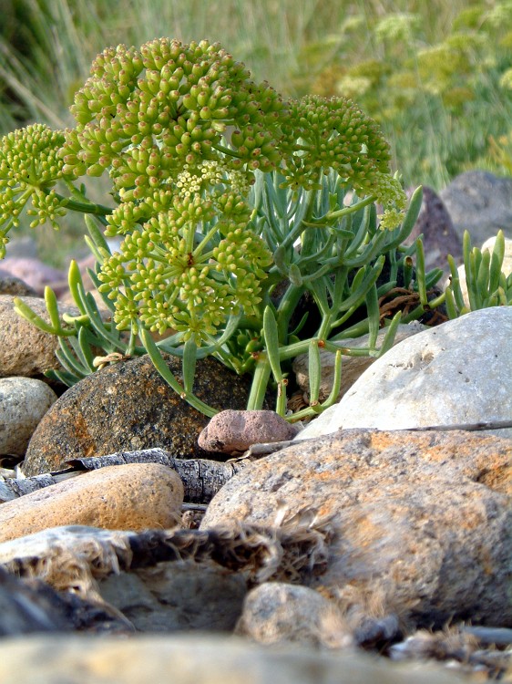 Photo_0002843
