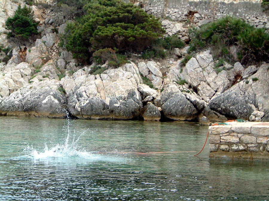 Photo_0002908